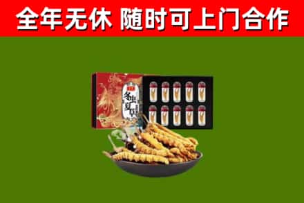 广州烟酒回收冬虫夏草礼盒.jpg